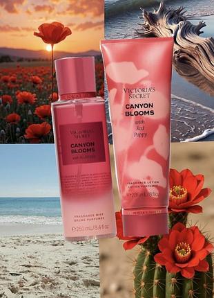 Набір парфумерії victoria's secret canyon blooms спрей 250 мл та лосьйон 236 мл