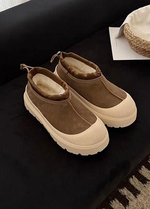 Уггі ugg tasman низькі коричневі на платформі