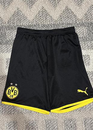 Шорти puma borussia dortmund