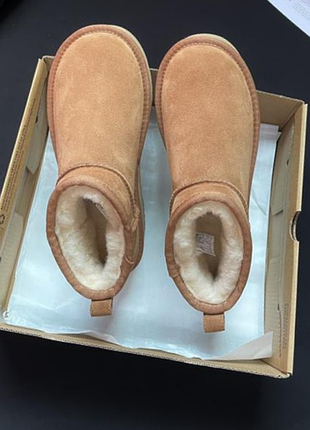 Черевики ugg низькі замшеві коричневі
