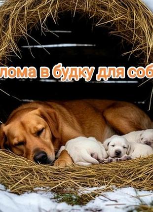 Підстилка для собак натуральна солома для будки та вольєра
