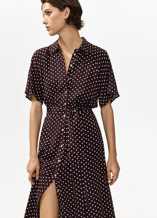 Сукня міді h&m жіноча у горошок розмір xs