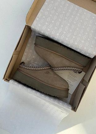 Ugg tazz hickory brown