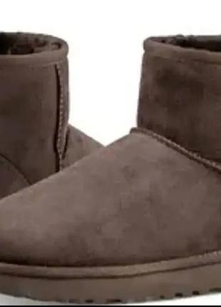 Чоботи ugg класичні коричневі замшеві середні