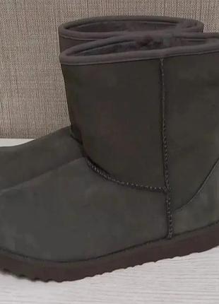 Уггі ugg сірі замшеві середні зимові