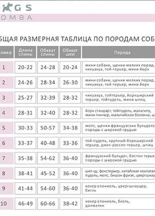 Комбінезон-дощовик для собак дівчат 7