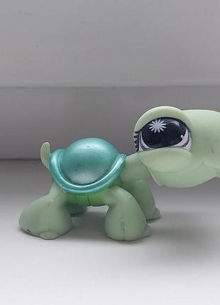 Littlest pet shop лпс лит шоп коллекционная фигурка черепаха lps игрушка фигурки игрушки пет шопсы петшопсы петшоп маленький зоомагазин хасбро