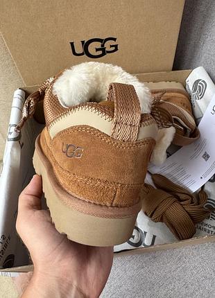 Uhg lowmel chestnut 7