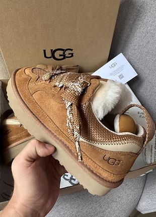 Uhg lowmel chestnut 2
