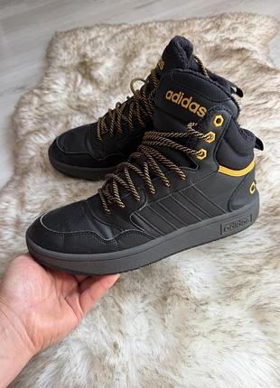 Зимові/демісезонні утеплені кросівки (хайтопи) adidas hoops 3.0 mid wtr у забарвленні core black 42розміру