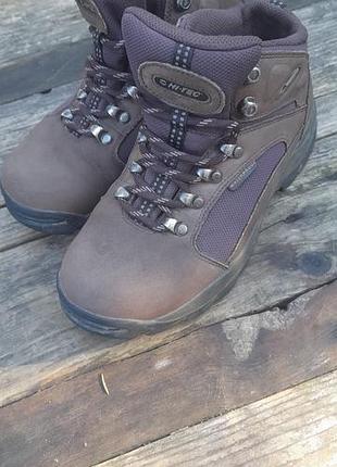 Жіночі трекінгові черевики hi-tec sumba wp (waterproof) розмір 37 / uk 4
