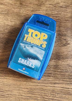 Настільна гра top trumps: sharks — це карткова гра, де гравці порівнюють характеристики різних видів акул
