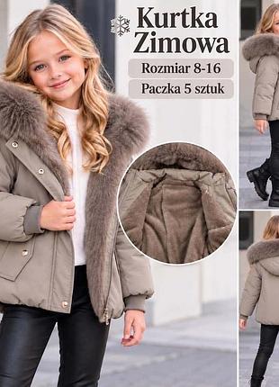 Парка зимова