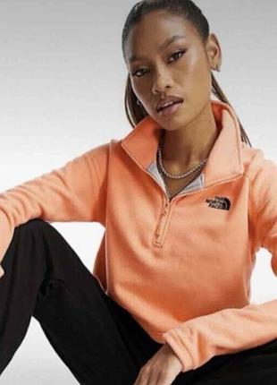 Світшот tnf