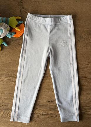 Велюрові блакитні легінси adidas