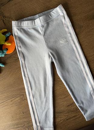 Велюрові блакитні легінси adidas 4