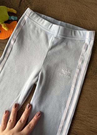 Велюрові блакитні легінси adidas 3