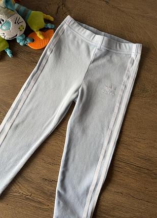 Велюрові блакитні легінси adidas 2