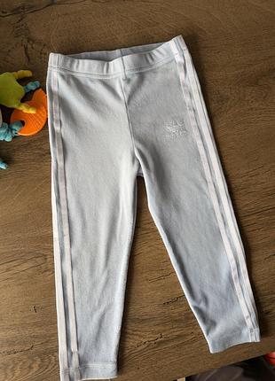 Велюрові блакитні легінси adidas 6