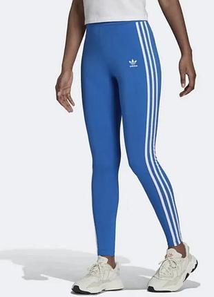 Лосіни жіночі adidas 3-stripes сині