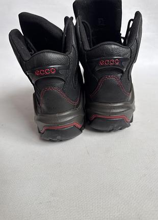 Шкіряні черевики ecco gore tex 5