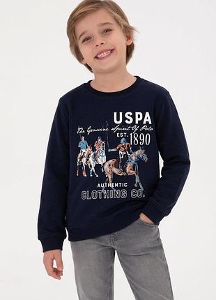 Світшот кофта u. s. polo assn. на хлопчика оригінал