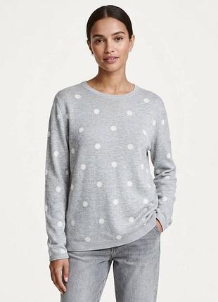 Світло-сірий светр у білий горошок h&m