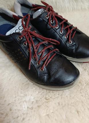Кроссовки ecco biom hydro max