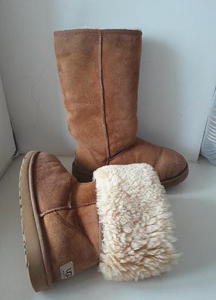 38,5р. зимові чоботи унти ugg уги