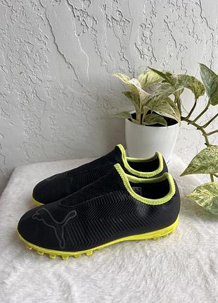 Сороконіжки puma