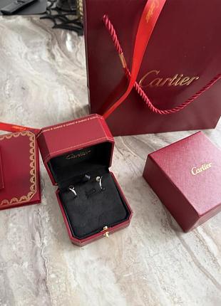 Сережки cartier juste un clou сріблясті