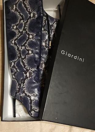 Чоботи giardini 🖤
