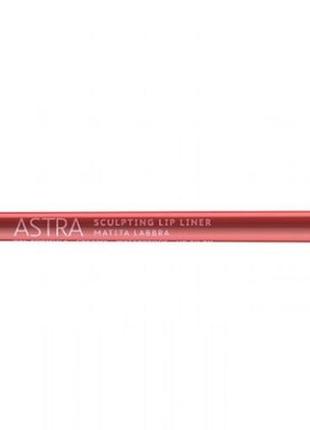 Кремовый карандаш для губ astra make-up sculpting lip liner3 фото