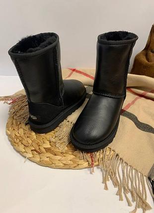 Ugg уггі угги чоботи жіночі сапоги валянки ugg metallic classic short 5842