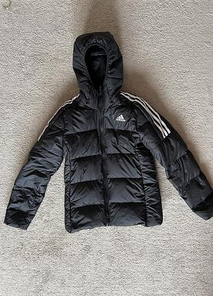Чорна  пухова куртка з капюшоном  від бренду adidas
