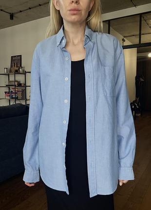 Сорочка жіноча dressmann блакитна slim fit розмір s