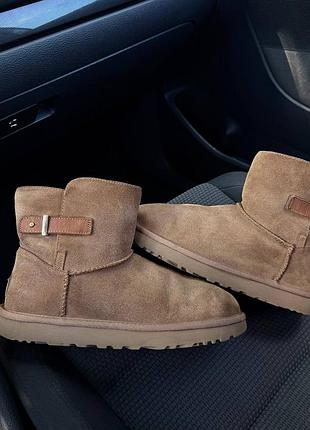 Жіночі уггі ugg низькі замшеві оригінал