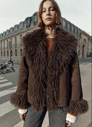 Дублянка zara