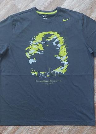 Мужская футболка nike lebron james