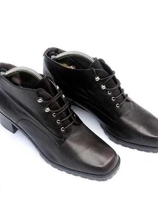 Ботильйони жіночі studio pollini шкіряні коричневі на шнурівці