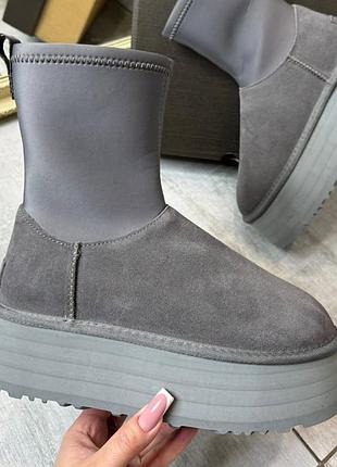 Жіноче взуття угг ugg boots сірі