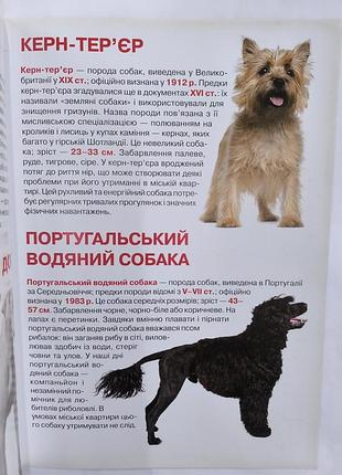 Большая книга охотничьи собаки 2