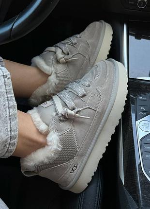 Ugg lowmel premium 3