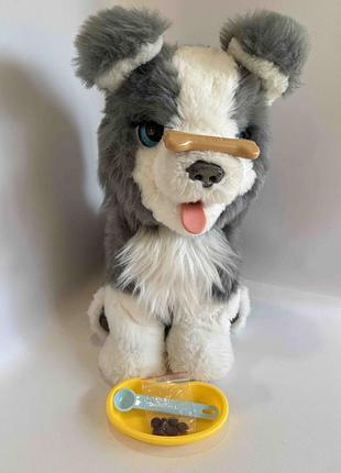 Інтерактивна іграшка hasbro furreal friends цуценя рікі ricky