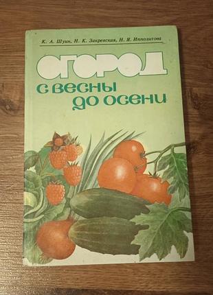 Шуин город з весни до осені
