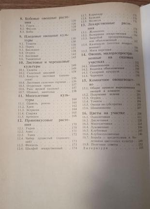 Шуин город з весни до осені 9