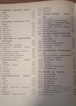 Шуин город з весни до осені 10