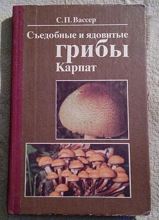 Съедобные и ядовитые грибы карпат.