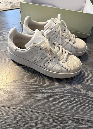 Кросівки жіночі adidas superstar на платформі, білі, 37 розмір