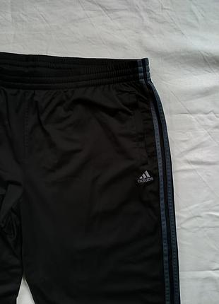Спортивные штаны оригинал